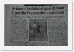 DSC_2161_ridimensionare * Foto:Franco D'Addona * 750 x 498 * (144KB)