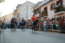 Palio delle contrade 2007