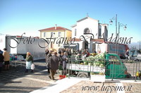 Foto Mercato settinanale