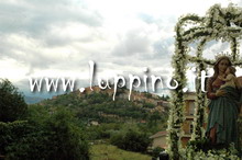 Madonna del Rosario 2007