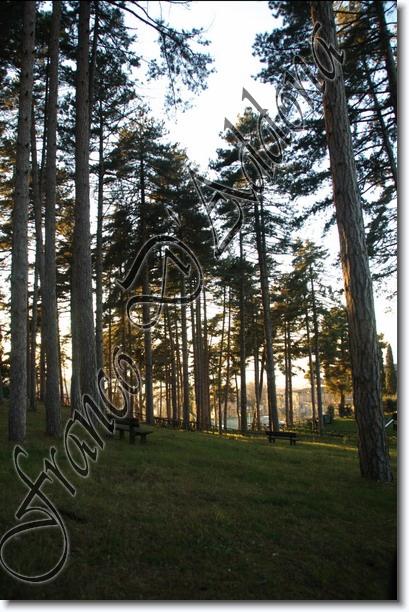 Sei gi� all'ultima foto