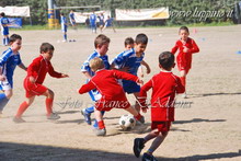 Piccoli campioni
